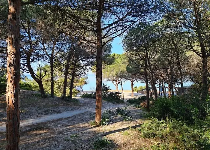 Apartamento Pepita Del Mare *