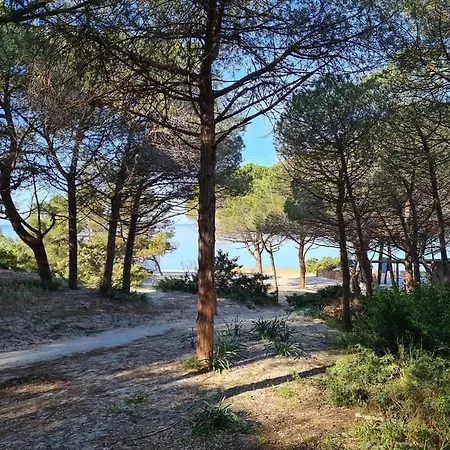 公寓 Pepita Del Mare *